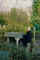 tinklingtheivories.jpg (52578 bytes)